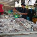 Penertiban Pedagang Toboali Perlu Tegas, Adil & Humanis